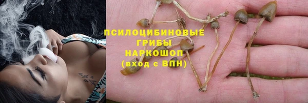 тгк Зерноград